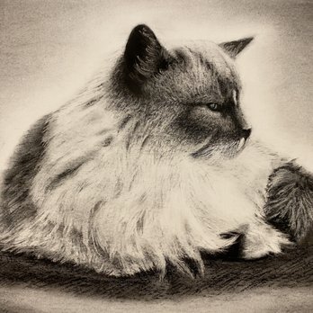 Stratford Studio - Art Classes Near Me