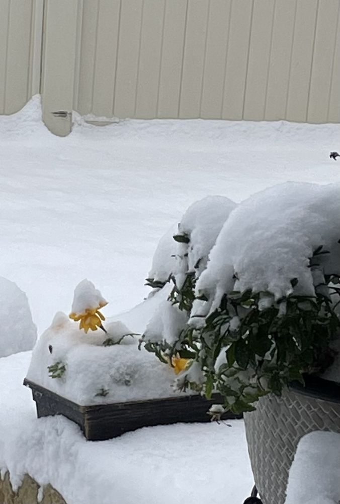 KULR8 TV STATION Updated September 2024 2045 Overland Ave, Billings, Montana Television