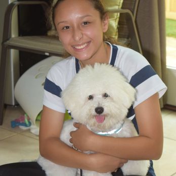 Karma Dog Training - Pet Training Near Me - Houston, Texas