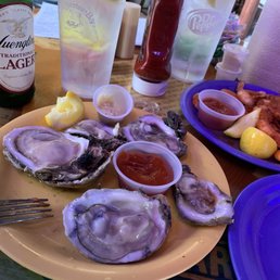 Oysters & peeled shrimp