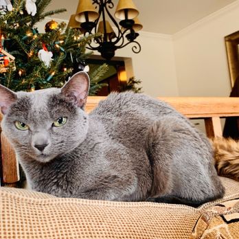 Peaceful Passage - Pet Services Near Me