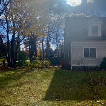 Cleds Tree Services - Pine tree removed - Tree Services Near Me - Halifax, Massachusetts