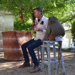 Monkey Business Productions