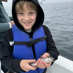Acadian Boat Tours