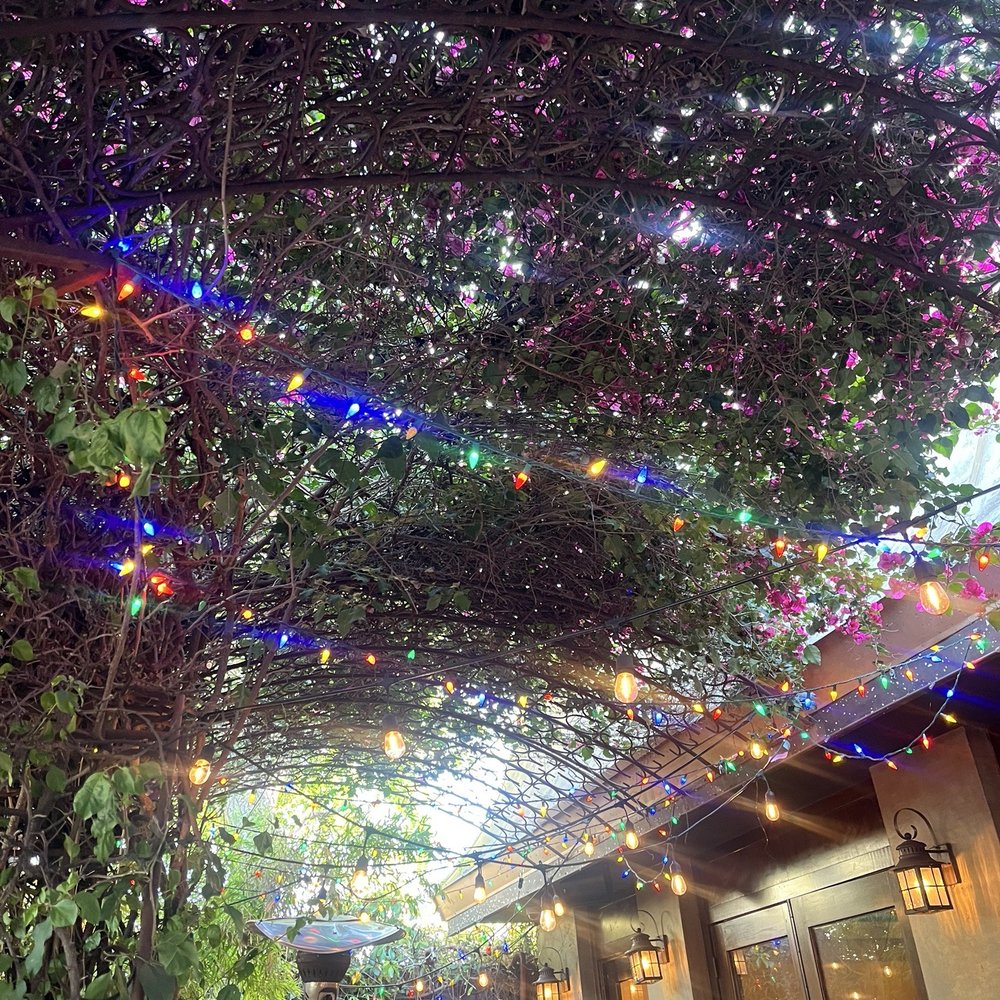Garden Cafe - beautiful, colorful lights mixed in with the trees in the patio area. - Breakfast & Brunch Near Me - Sherman Oaks, California Garden Cafe - beautiful, colorful lights mixed in with the trees in the patio area. - Breakfast & Brunch Near Me - Sherman Oaks, California