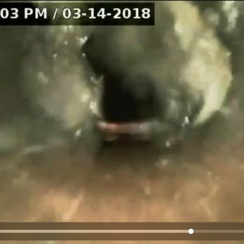 24/7 Drainrooter - Here is before adding lining to sewer drain pipe, there are multiple tree root that caused the drain backed up to the house. - Plumbing Near Me