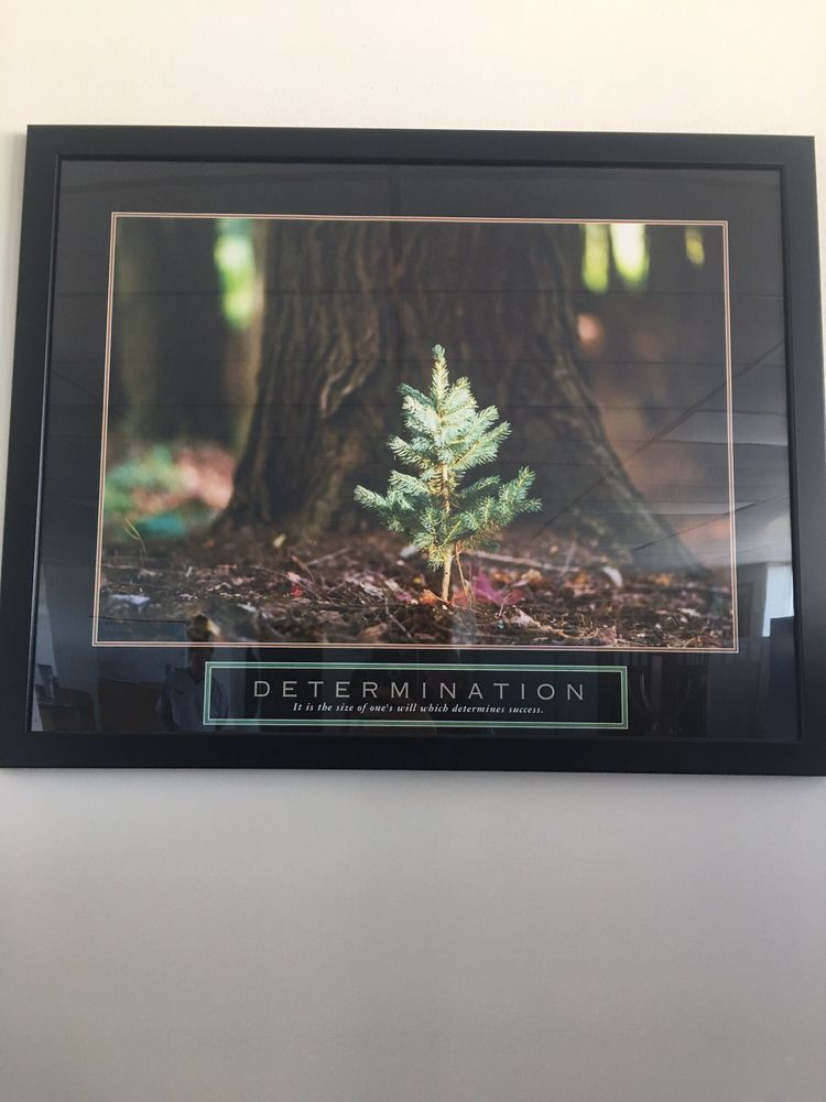 Sound Community Solutions Inc. - social services organization in Harrisburg, PA