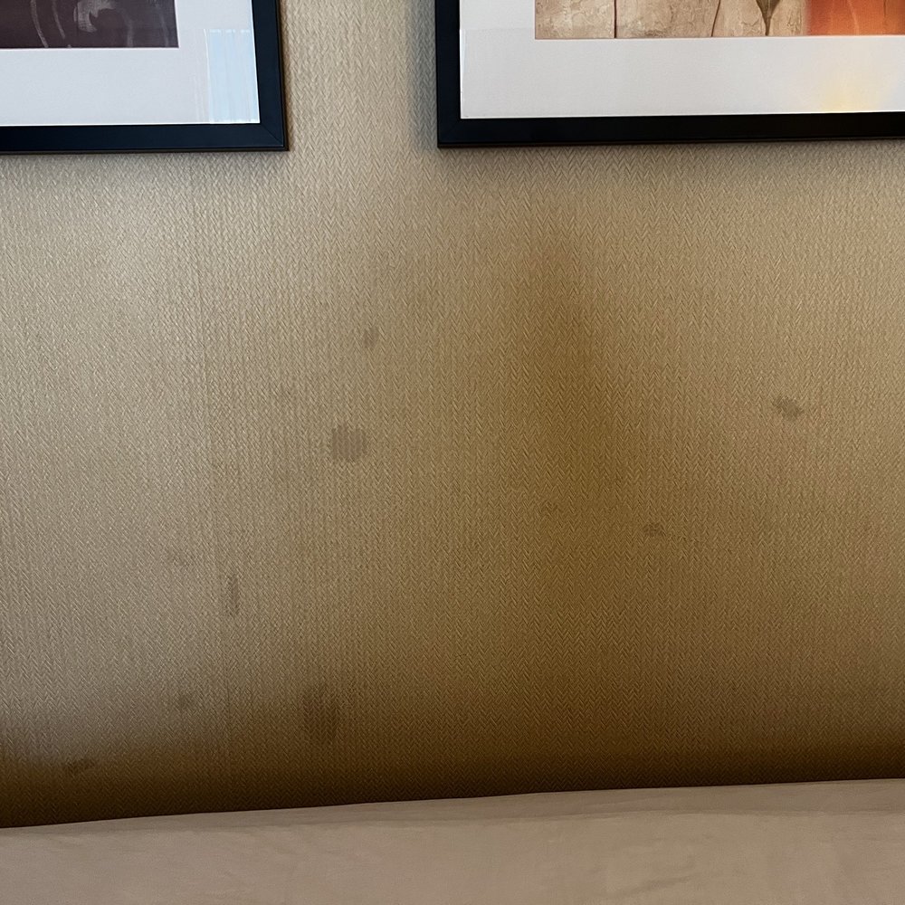 West Gate Inn Nyack - Wall stains - Hotels Near Me - Nyack, New York West Gate Inn Nyack - Wall stains - Hotels Near Me - Nyack, New York