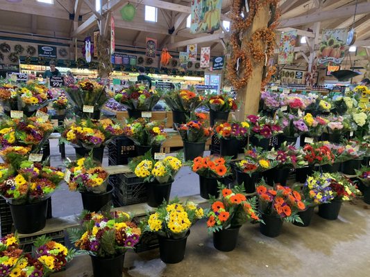 Calareso's Farm Stand & Garden Center by null