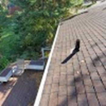 Capital Seamless Gutters - Gutter Services Near Me - Madison, Wisconsin Capital Seamless Gutters - Gutter Services Near Me - Madison, Wisconsin