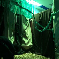 Idea Box Integrated Arts - 8th graders at ASPIRA Haugan transformed an unused bathroom into a "dark forest" for their pop-up immersive museum