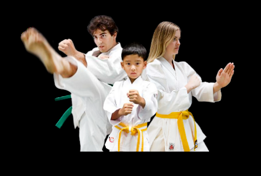 Villari's Martial Arts Logo