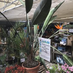 Brynawel Garden Centre