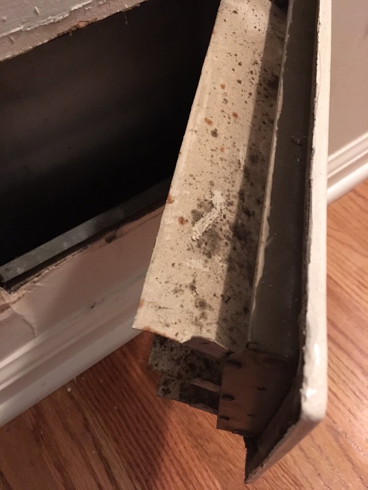 Nano Environmental-Gwinnett - mold inspector in Lilburn, GA