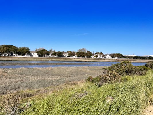 Photo of Redwood Shores Bay Trail - Redwood City, CA, US.