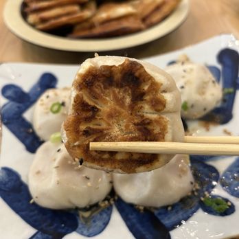Dumpling Panda - Chinese Near Me - Miramar, Florida