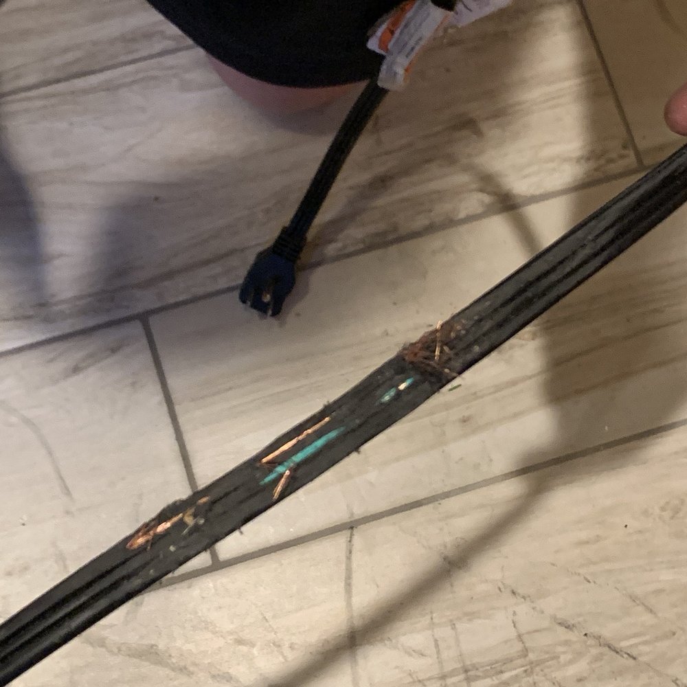 Tiger Movers - Stripped wire - Movers Near Me - Lodi, New Jersey Tiger Movers - Stripped wire - Movers Near Me - Lodi, New Jersey
