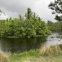 Photo of Chatham County Wetlands Preserve