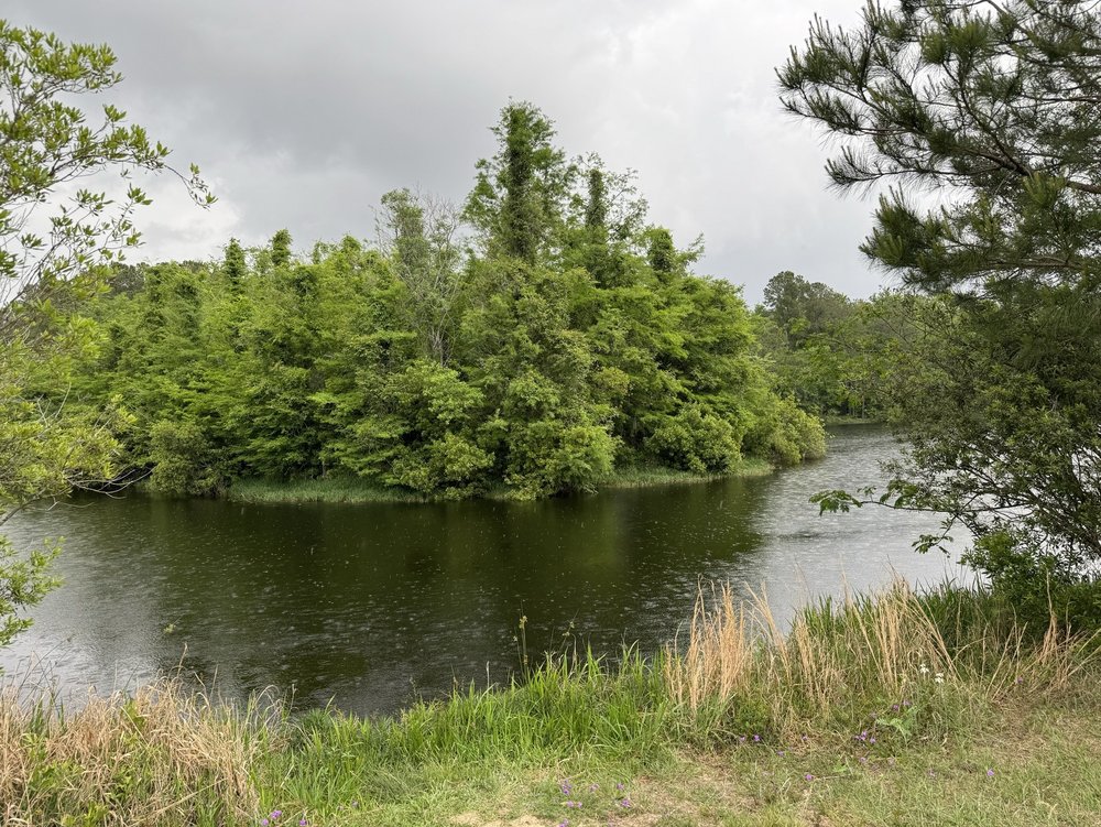 Chatham County Wetlands Preserve Image