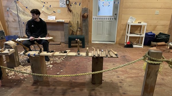 Alaska Rainforest Sanctuary by null