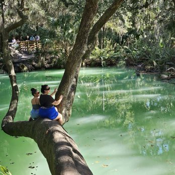 Green Springs Park - Hiking Near Me - Deltona, Florida