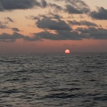 Clearwater Fun Boat - Boat Tours Near Me - Clearwater, Florida Clearwater Fun Boat - Boat Tours Near Me - Clearwater, Florida