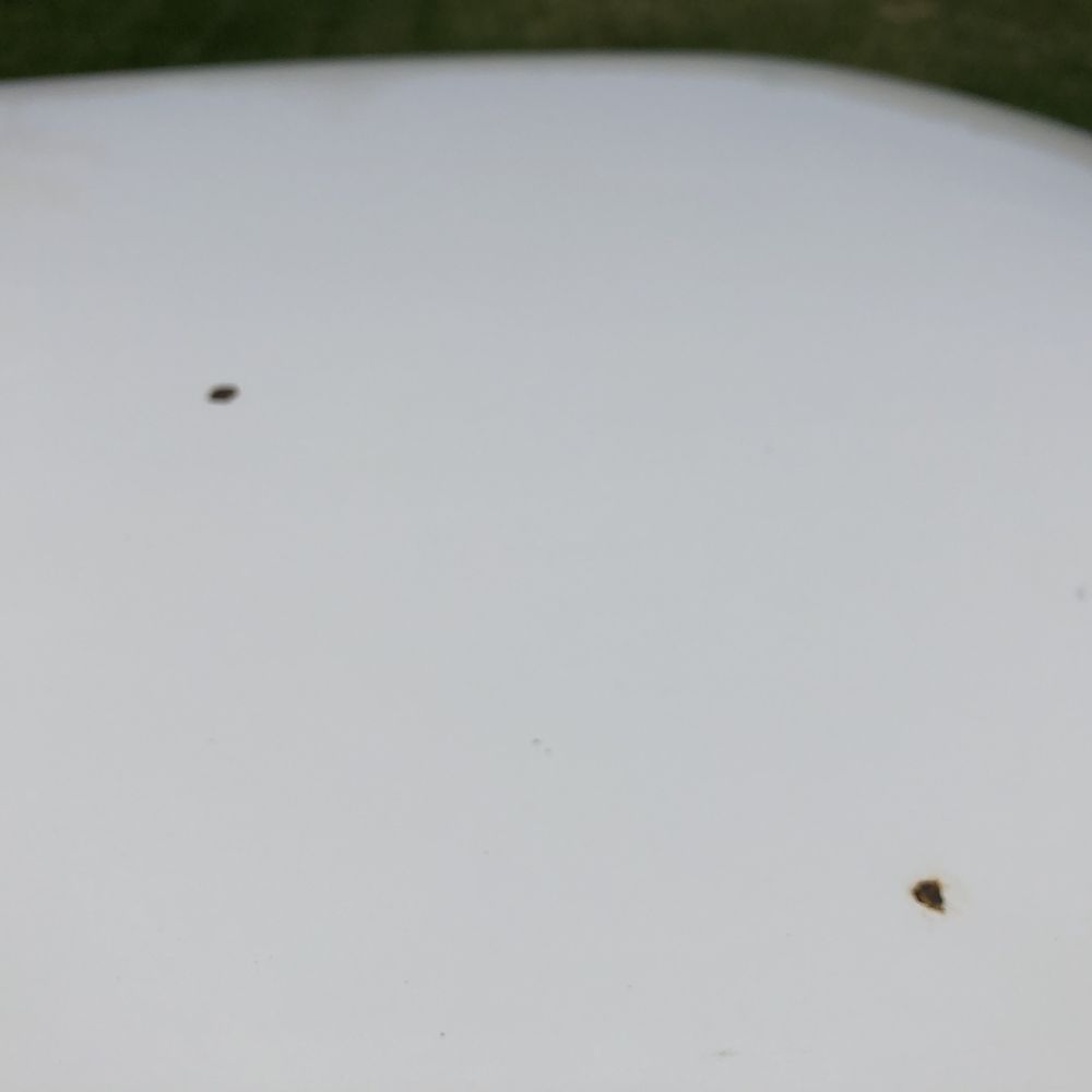 Ted Ciano's Used Car Center - these are two dime+ sized rust on the roof, i'd approximate they were about 1/2 way to being rust through. 'no real damage' - Car Buyers Near Me - Milton, Florida Ted Ciano's Used Car Center - these are two dime+ sized rust on the roof, i'd approximate they were about 1/2 way to being rust through. 'no real damage' - Car Buyers Near Me - Milton, Florida