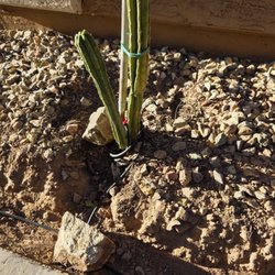 ASM Irrigation