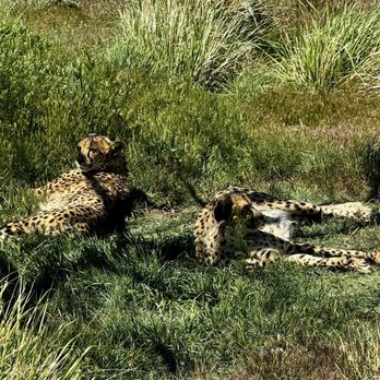 Animal Ark - Zoos Near Me - Reno, Nevada