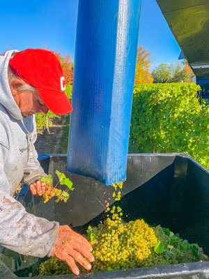 Hosmer Winery by null