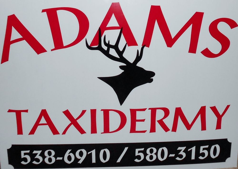 Adams Taxidermy - taxidermy in Montesano, WA