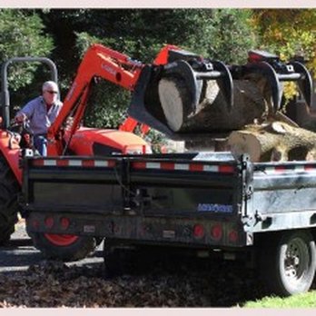 Robert Tompkins Tree Service - Tree Services Near Me - Chico, California