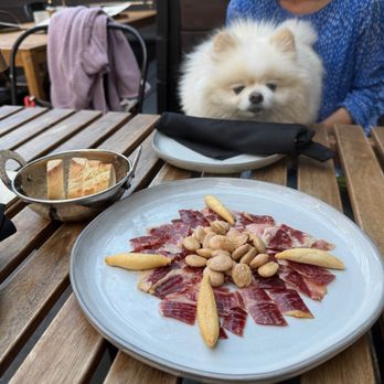 La Catalana - Jamon Iberico.....puppy approved! - Tapas Bars Near Me - San Jose, California La Catalana - Jamon Iberico.....puppy approved! - Tapas Bars Near Me - San Jose, California