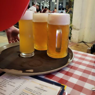 Fritz & Franz Bierhaus by null