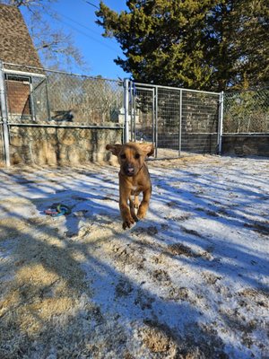 Cedar Valley Pet Lodge