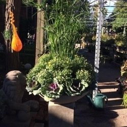 Bulow Garden Centre - Photo