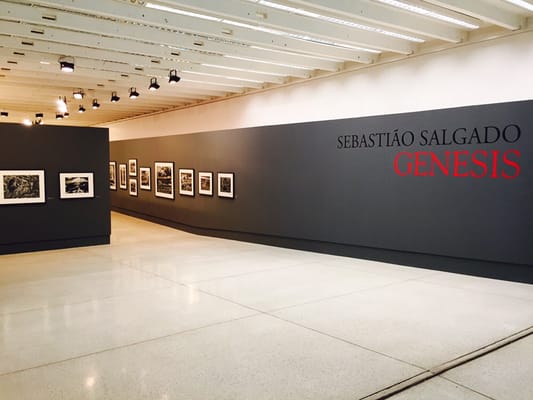 Museu Oscar Niemeyer by null