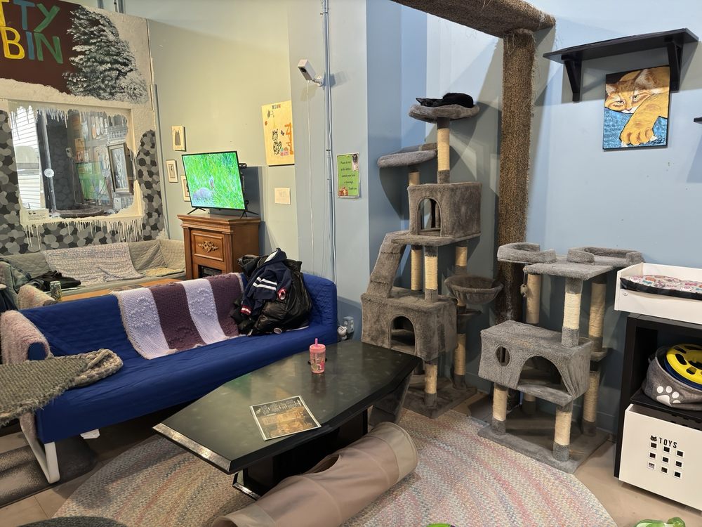 My Kitty Cafe - Photo 2