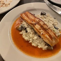 Salmon