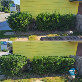 West Lawn Care - Hedges - Landscaping Near Me West Lawn Care - Hedges - Landscaping Near Me