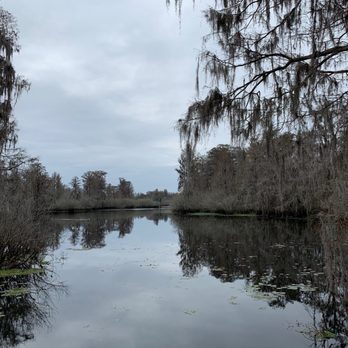 Lettuce Lake Park - Parks Near Me - Tampa, Florida