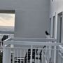 Photo of Club Wyndham Royal Vista