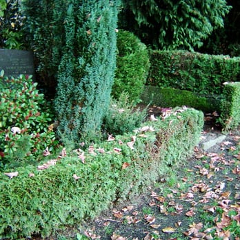 Ostfeld-Friedhof - Funeral Services & Cemeteries Near Me - Hagen, NW