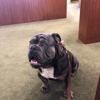 Amazon Barbershop - I walked in with my puppy Lunchbox. He was well received and a toy was provided for him to play with. - Barbers Near Me - San Francisco, California Amazon Barbershop - I walked in with my puppy Lunchbox. He was well received and a toy was provided for him to play with. - Barbers Near Me - San Francisco, California