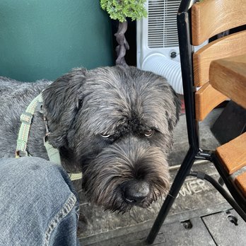 Yoko Yoko Ramen - George unhappy he has no more ramen - Ramen Near Me - Bremerton, Washington Yoko Yoko Ramen - George unhappy he has no more ramen - Ramen Near Me - Bremerton, Washington