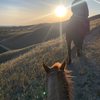 Central Coast Trailrides - Horseback Riding Near Me