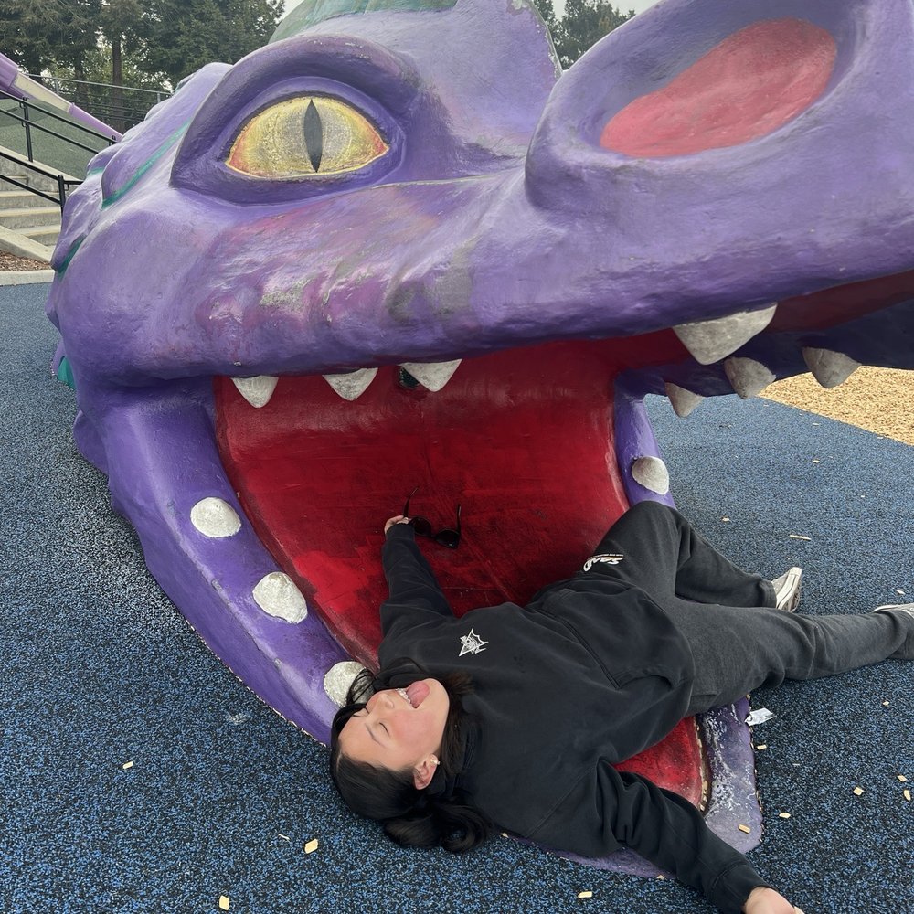 Magic Mountain Playground - My dramatic 13 year old being eaten by the dragon. - Parks Near Me - San Mateo, California