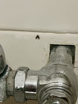 Shari's Cafe and Pies by null