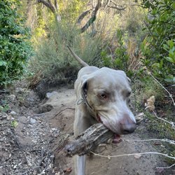 Switzer Canyon Open Space Park
