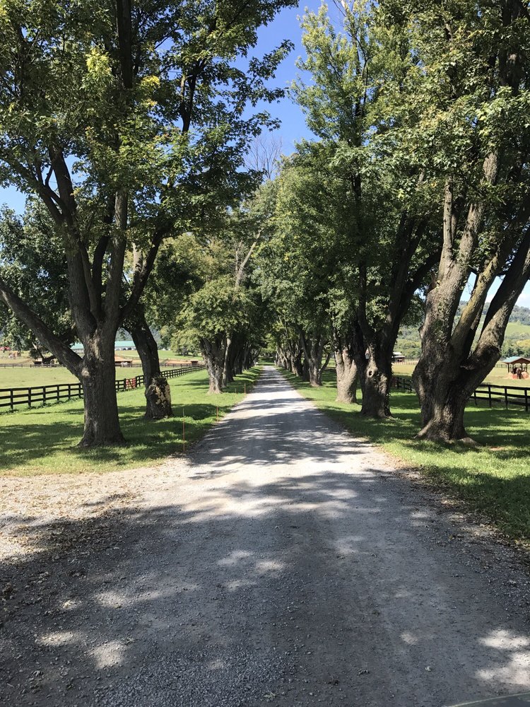 RED GATE FARM Updated October 2024 19255 Foggy Bottom Rd, Bluemont